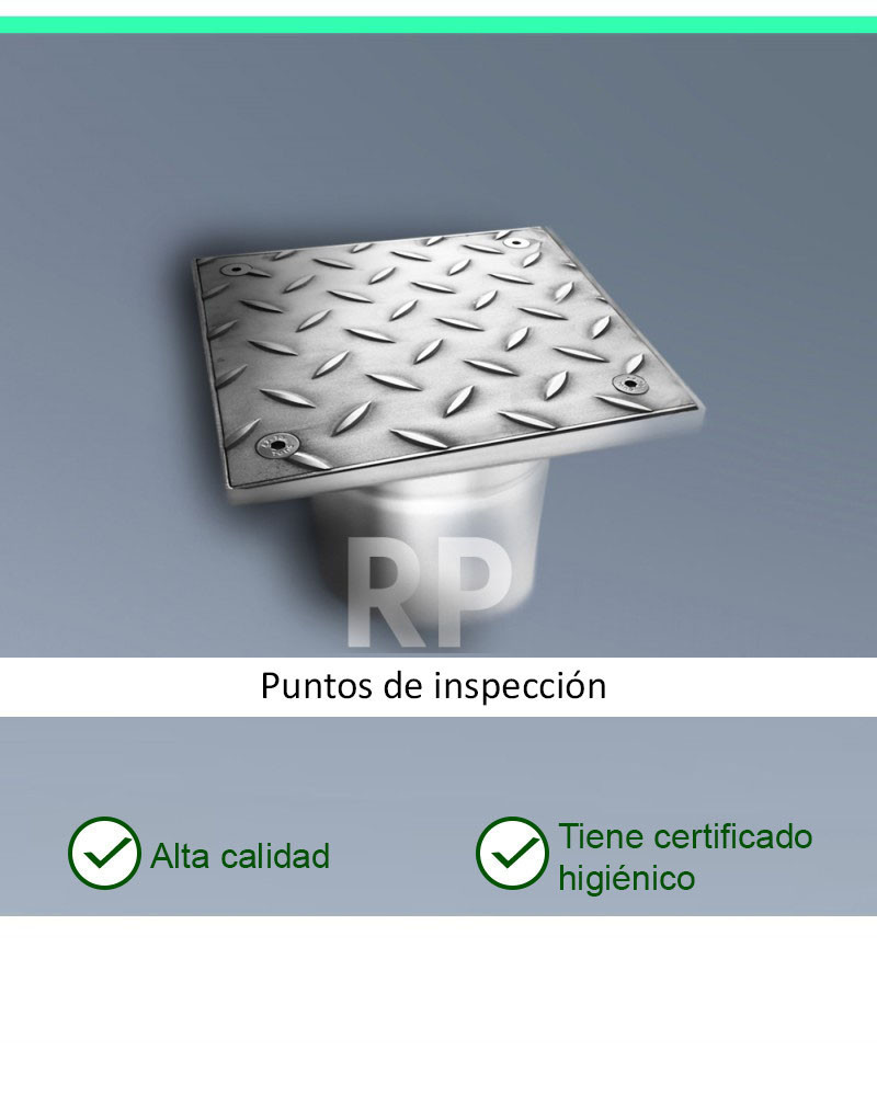 RP-300-D200 - Puntos de inspección