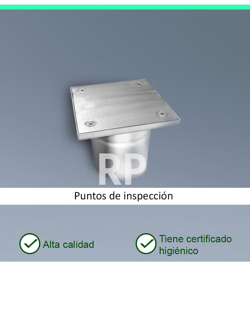 RP-200-D160 - Puntos de inspección