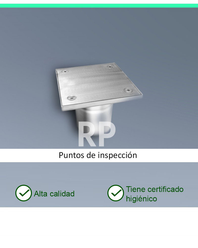 RP-200-D110 - Puntos de inspección
